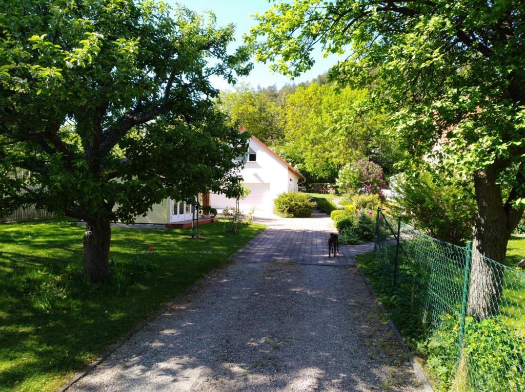 Ferienhaus Kaiser Branchewinda Exterior foto